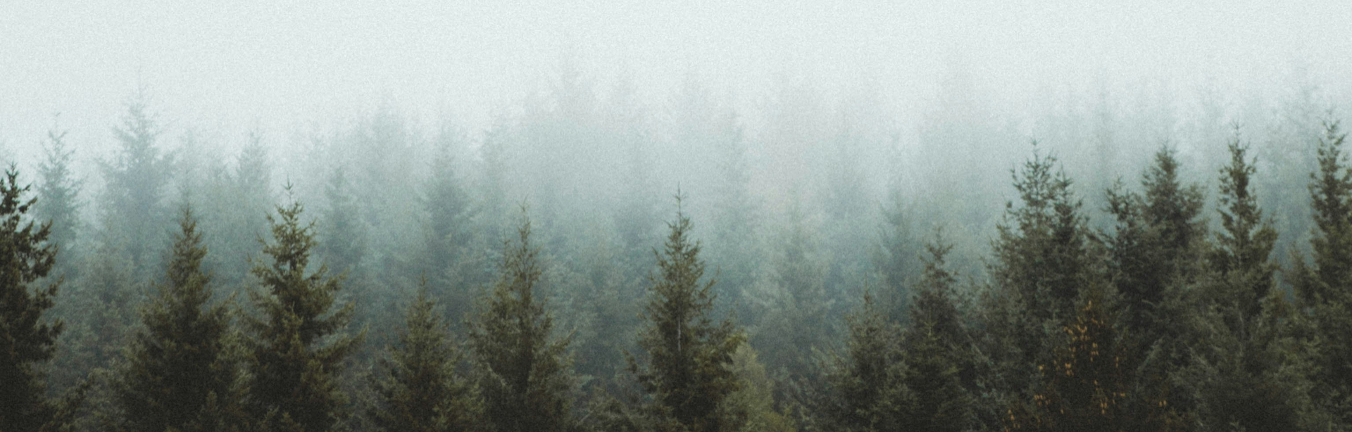 banner image